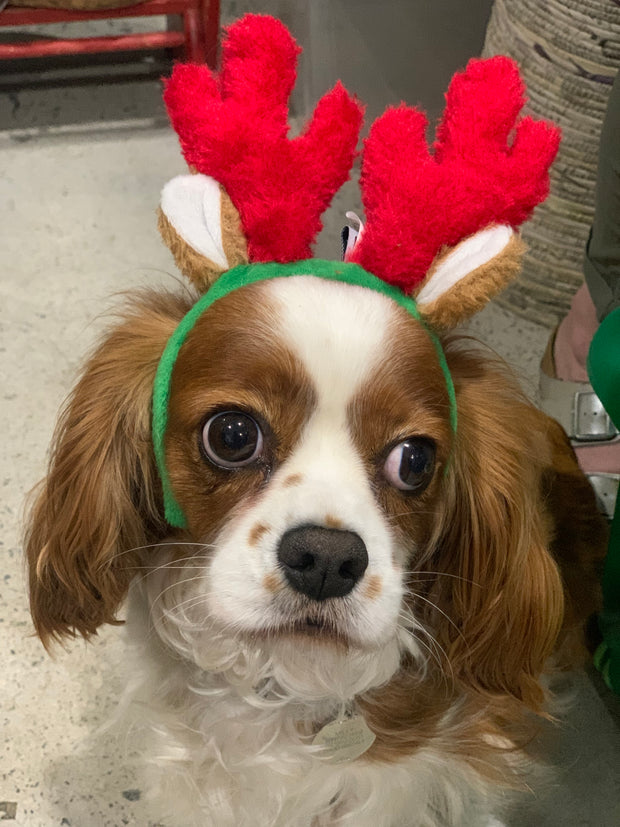 Christmas - Antlers headband