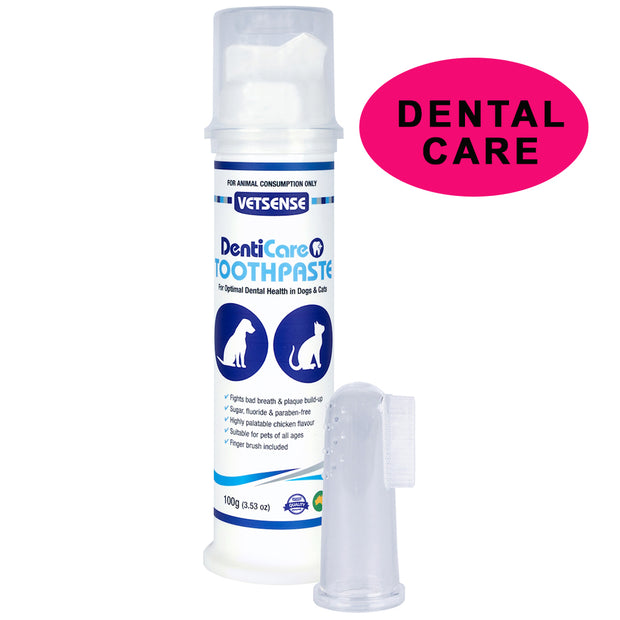 DentiCare Toothpaste Kit